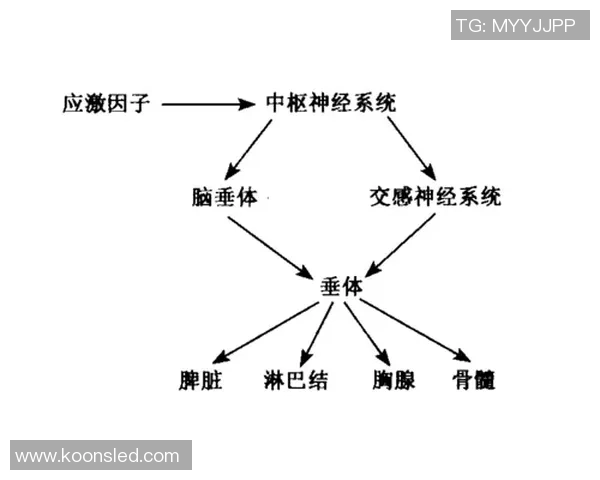 乔丹与足球明星的关系探讨及其在体育界的影响力分析