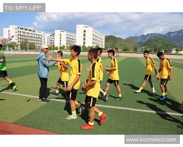 足球明星选拔方案模板及实施细则探讨与建议